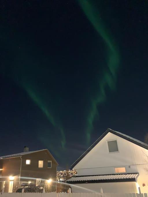 شقة ترومسو  في Fin Leilighet I Tromsdalen. المظهر الخارجي الصورة